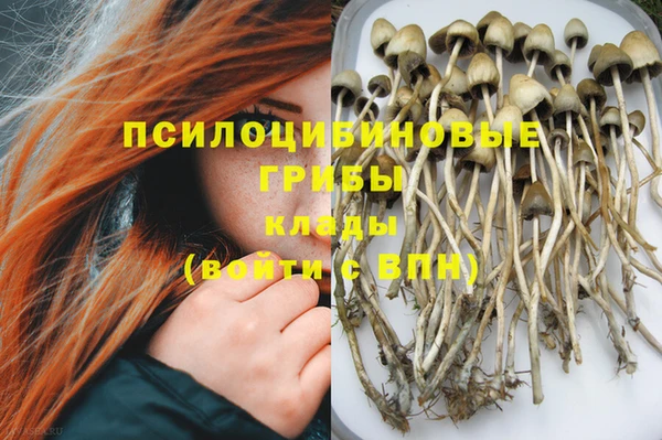 MDMA Premium VHQ Аркадак