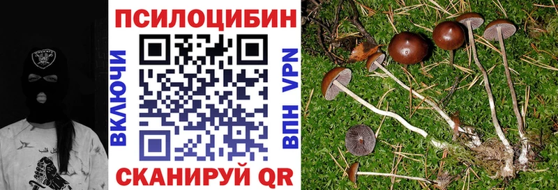 Купить закладки  Нижние Серги  Галлюциногенные грибы Magic Shrooms 